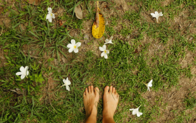 How to Ground Yourself in a Chaotic World